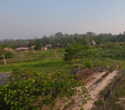 A sandy path between retreat buildings and tropical vegetation